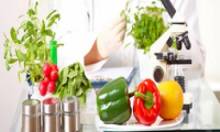 STUDY FOOD SCIENCE DEGREES ABROAD