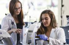 Why should you pursue a biomedical science degree abroad?