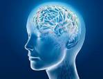 Cognitive neuroscience