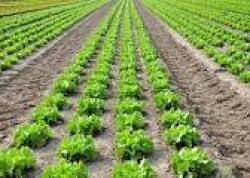 Agriculture Engineering