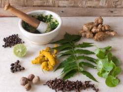 BAMS(Ayurvedic)