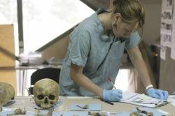 Anthropology